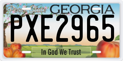 GA license plate PXE2965