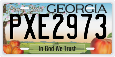 GA license plate PXE2973