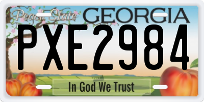 GA license plate PXE2984