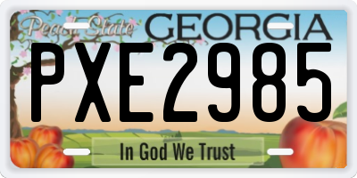 GA license plate PXE2985