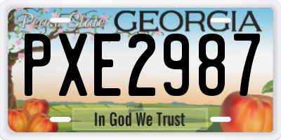 GA license plate PXE2987