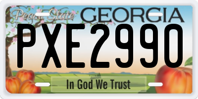GA license plate PXE2990