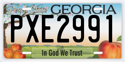 GA license plate PXE2991