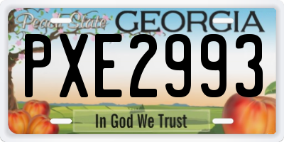 GA license plate PXE2993