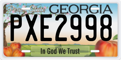 GA license plate PXE2998