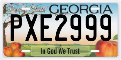 GA license plate PXE2999