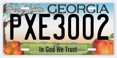 GA license plate PXE3002