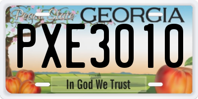 GA license plate PXE3010
