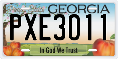 GA license plate PXE3011
