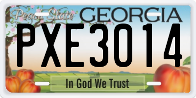 GA license plate PXE3014