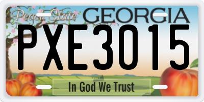 GA license plate PXE3015