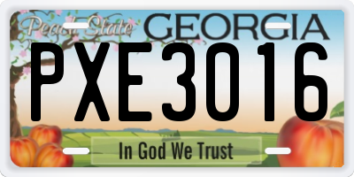 GA license plate PXE3016