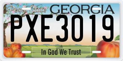 GA license plate PXE3019