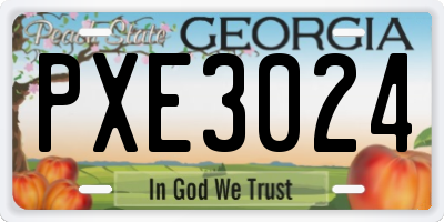 GA license plate PXE3024