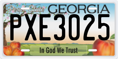 GA license plate PXE3025