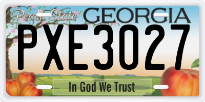 GA license plate PXE3027