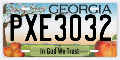 GA license plate PXE3032