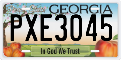 GA license plate PXE3045