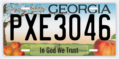GA license plate PXE3046