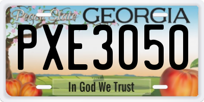 GA license plate PXE3050