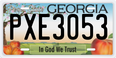 GA license plate PXE3053