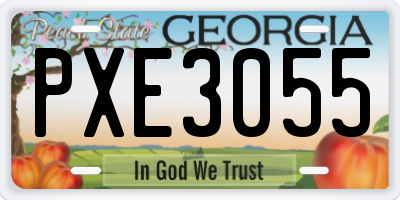GA license plate PXE3055