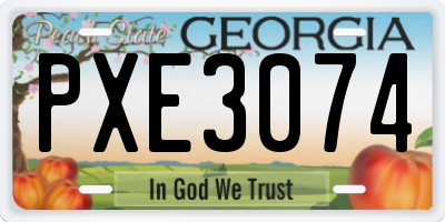 GA license plate PXE3074