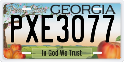 GA license plate PXE3077