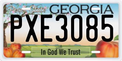 GA license plate PXE3085