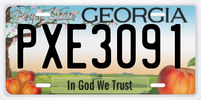 GA license plate PXE3091