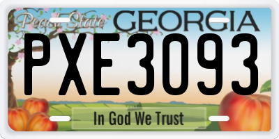 GA license plate PXE3093