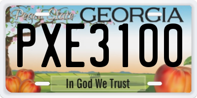 GA license plate PXE3100