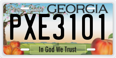 GA license plate PXE3101