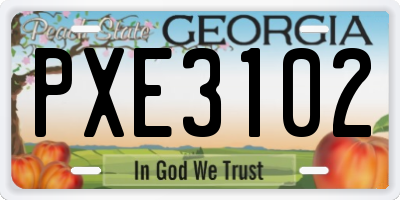 GA license plate PXE3102