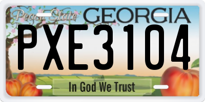 GA license plate PXE3104