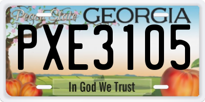 GA license plate PXE3105