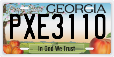 GA license plate PXE3110