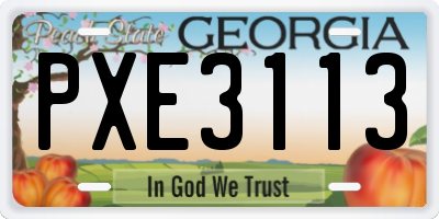 GA license plate PXE3113