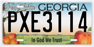 GA license plate PXE3114