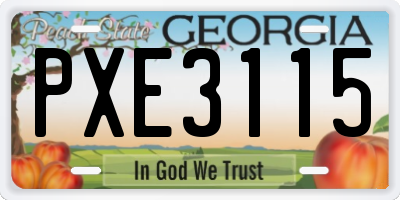 GA license plate PXE3115