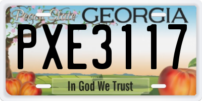 GA license plate PXE3117