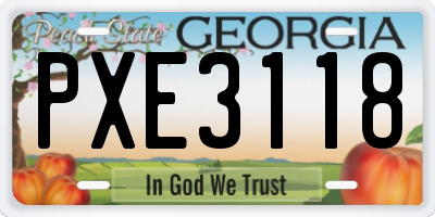 GA license plate PXE3118