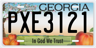 GA license plate PXE3121