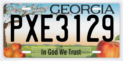 GA license plate PXE3129