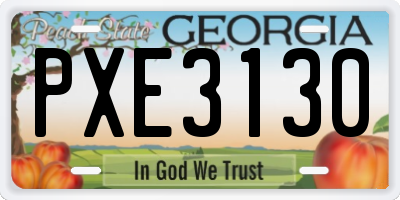 GA license plate PXE3130