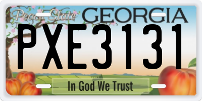 GA license plate PXE3131