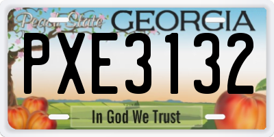 GA license plate PXE3132