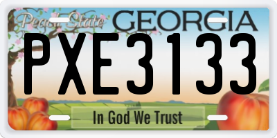 GA license plate PXE3133