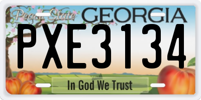 GA license plate PXE3134