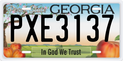 GA license plate PXE3137
